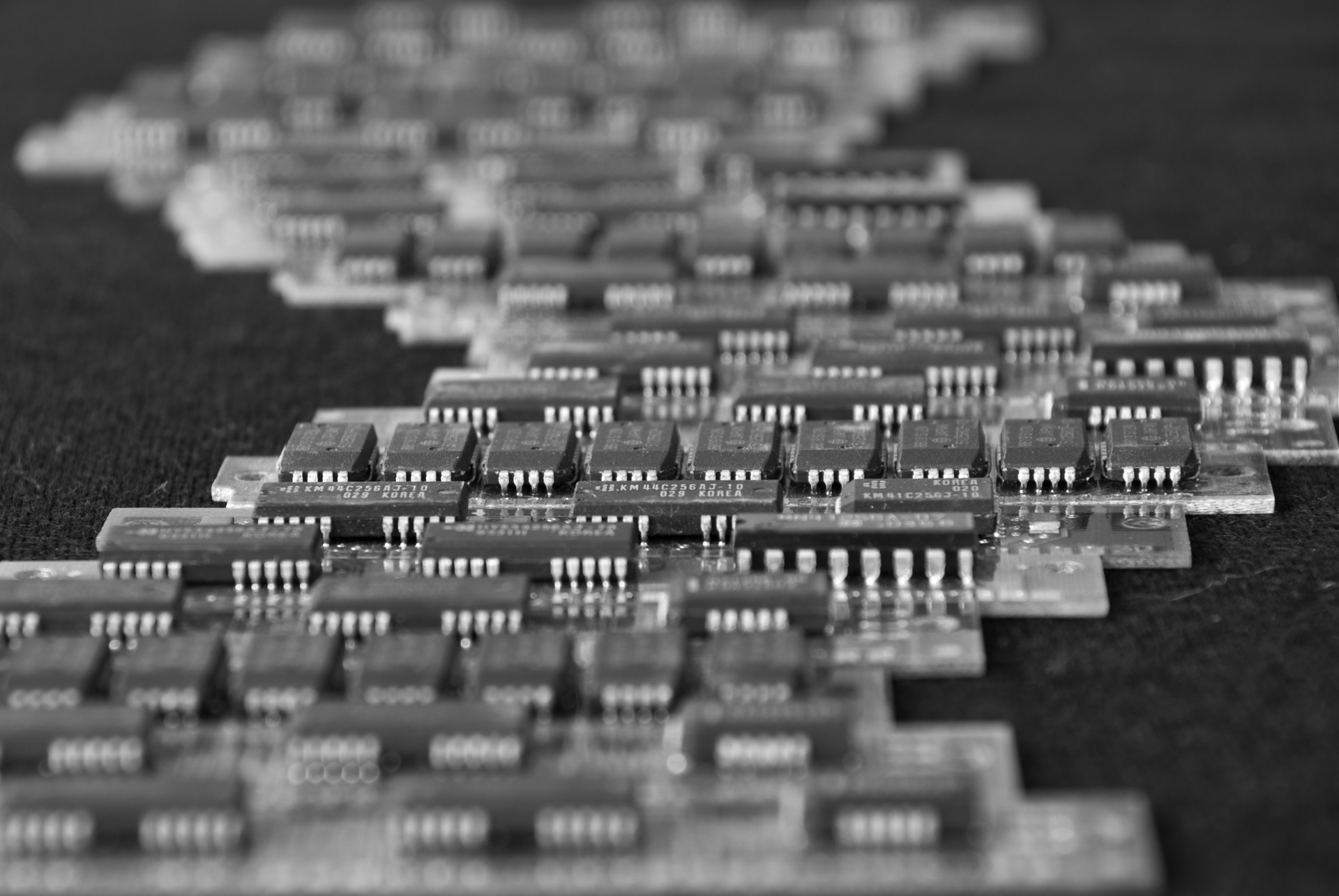 (图片由Morten Nisker Toppenberg, Creative Commons提供)。