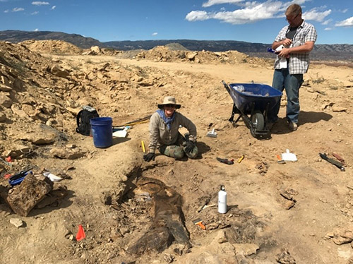 Jurassic2 5c9e1de0c2460