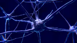 Nerve Cell 2213009 960 720