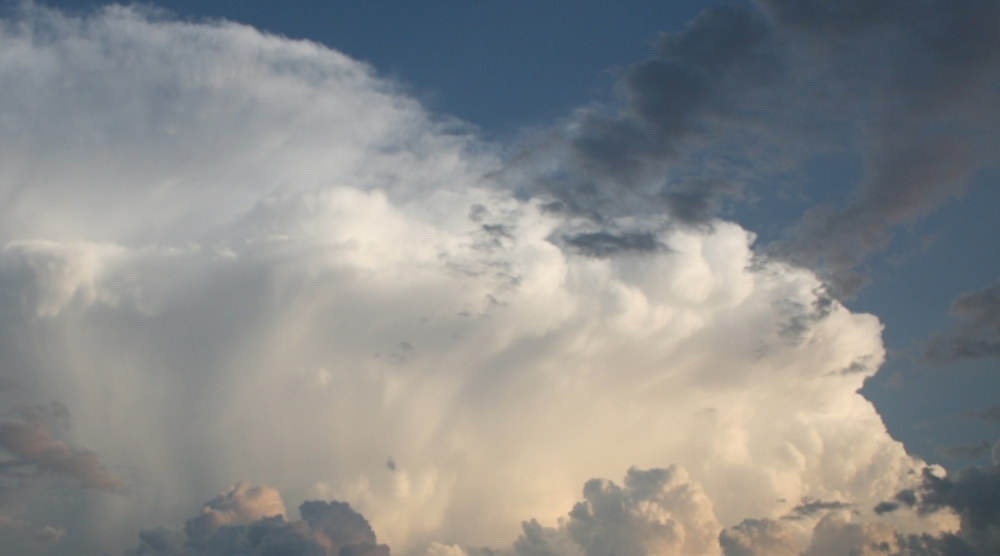 (Image courtesy of Cliff Cooper, Creative Commons). (图片由Cliff Cooper提供,Creative Commons)。