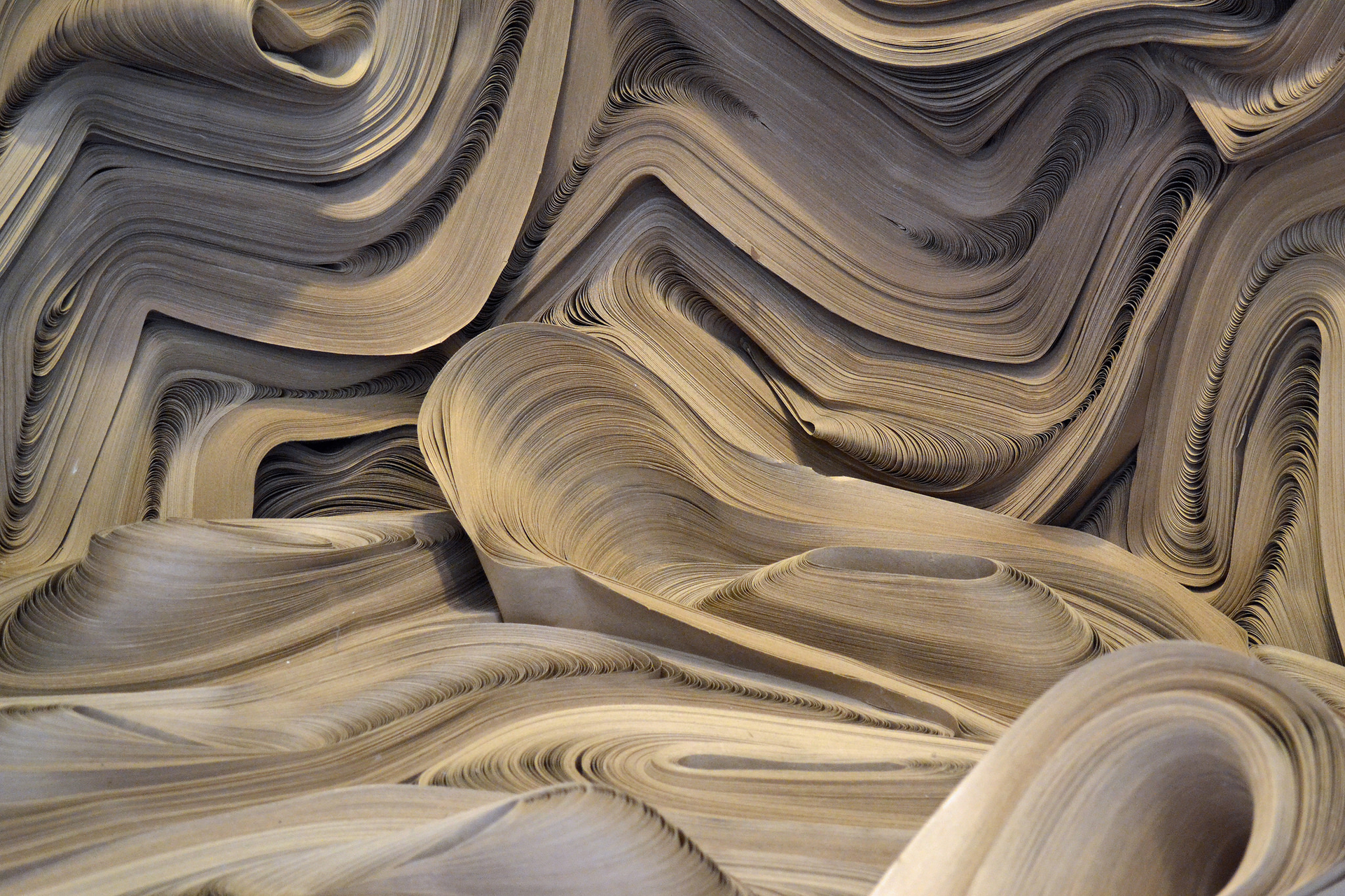 Image courtesy of MTSOfan Creative Commons