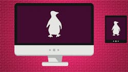 Differences between Linux types Differences between Linux types