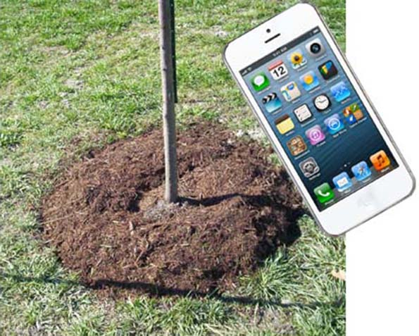 Promo for It's a Chip, So It Must Be Secure