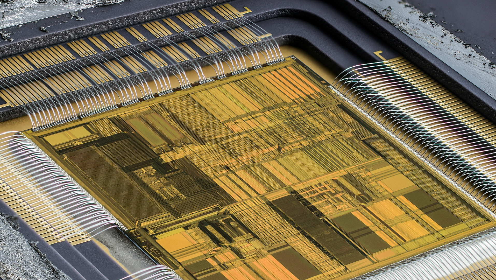 Intel_Pentium_Macro_Stock