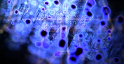 Constant-Current APD Bias Method Automatically Optimizes Optical Comms Performance Constant-Current APD Bias Method Automatically Optimizes Optical Comms Performance