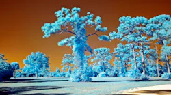 Infrared_Promo_Image_Sensors