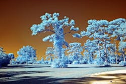 Infrared_Promo_Image_Sensors Infrared_Promo_Image_Sensors