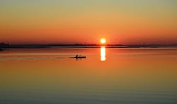 Wishing Nancy Well Wishing Nancy Well