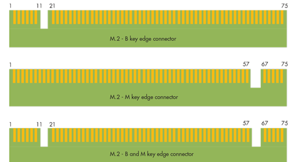 0215trends-memory-promo.gif 0215年trends-memory-promo.gif