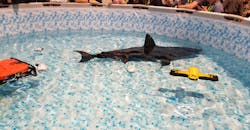 Drones Create Quite the “Splash” at CES Drones Create Quite the “Splash” at CES