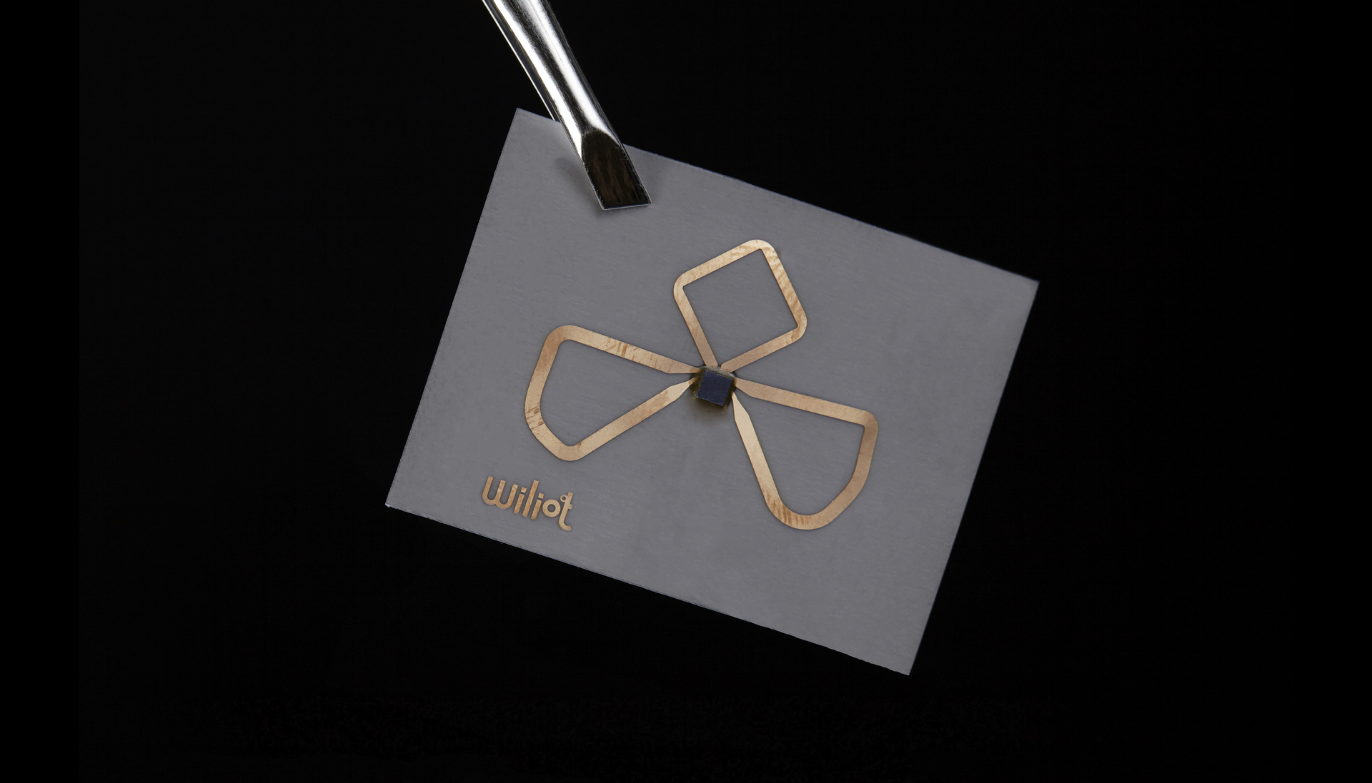 (Image courtesy of Wiliot).