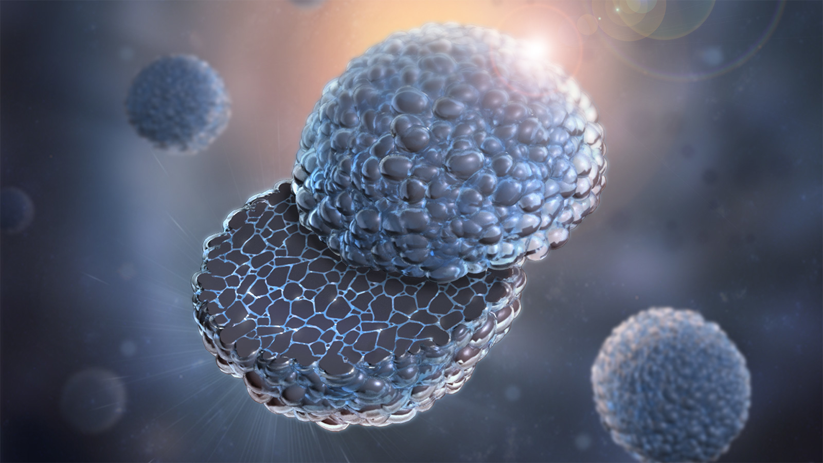 Argonne 5cdd6ce4415af