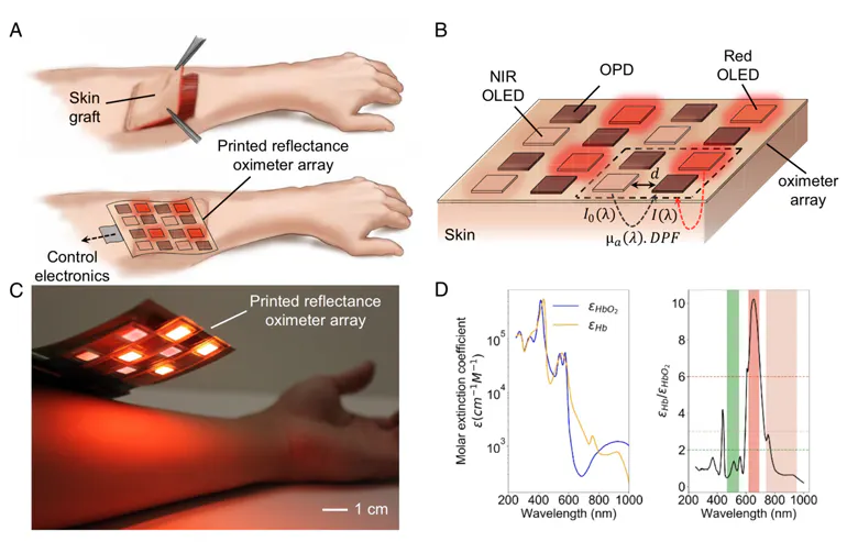 Leds Of O2 LED/Photodetector Array Provides Non-Contact 2D Mapping of Blood Oxygen ...