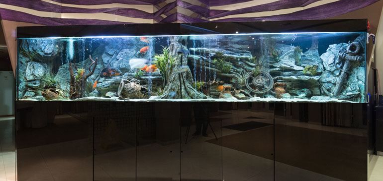 Electronicdesign Com Sites Electronicdesign com Files Fig 1 Lobby Aquarium