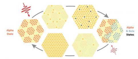 Bursts 5d14e36867e9a