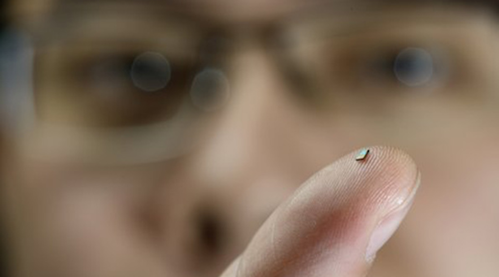 (Image courtesy of Getty Images). (Image courtesy of Getty Images).