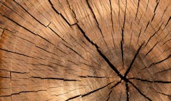 wood_promo.png wood_promo.png