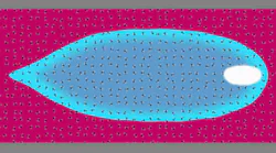 Slac1