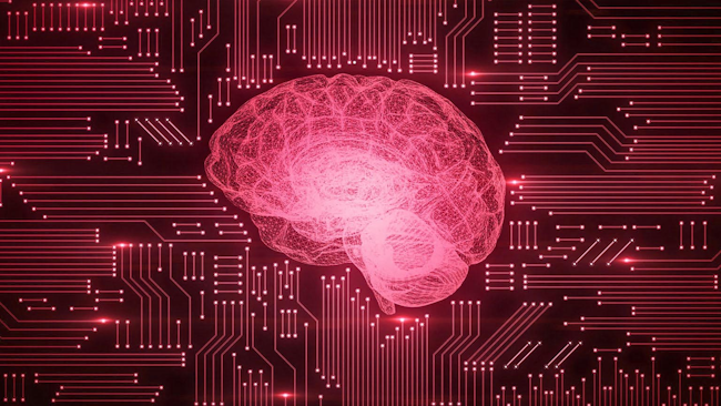 Eda Brain 871148930 5e164048bd461