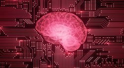 Eda Brain 871148930 Eda Brain 871148930