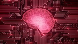 Eda Brain 871148930 5e164048bd461 Eda Brain 871148930 5e164048bd461