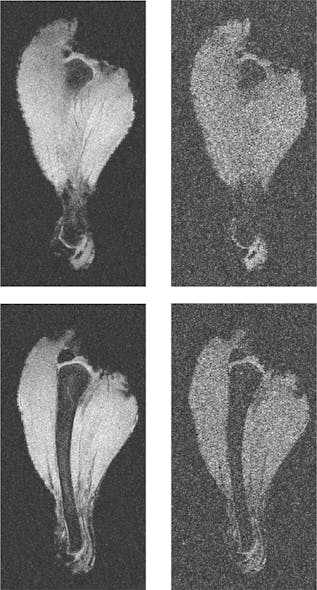 3. MRI scan of a chicken leg. Images acquired 2.25 cm (a, b) and 2.50 cm (c, d), from the top surface of the metamaterial array. Images (a, c) are acquired in the presence of the metamaterial array, while images (b, d) are acquired in the absence of the metamaterial array. All other conditions remained fixed between scans. (Source: Boston University)