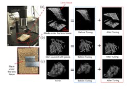 2. 3D high-SNR OCT imaging of samples with high-resolution topology: Images of the metal razor blade covered by the lens tissue (inset: a camera image of the experimental arrangement) (a); images of the skin sample covered with a gauze (b); images of the human aorta sample with high surface elevation (c). (Source: Columbia University) 2. 3D high-SNR OCT imaging of samples with high-resolution topology: Images of the metal razor blade covered by the lens tissue (inset: a camera image of the experimental arrangement) (a); images of the skin sample covered with a gauze (b); images of the human aorta sample with high surface elevation (c). (Source: Columbia University)