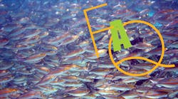 Figure Promo School Of Pterocaesio Chrysozona In Papua New Guinea 1 5e592fde05d19 Figure Promo School Of Pterocaesio Chrysozona In Papua New Guinea 1 5e592fde05d19