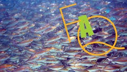 Figure Promo School Of Pterocaesio Chrysozona In Papua New Guinea 1 5e592fde05d19 Figure Promo School Of Pterocaesio Chrysozona In Papua New Guinea 1 5e592fde05d19