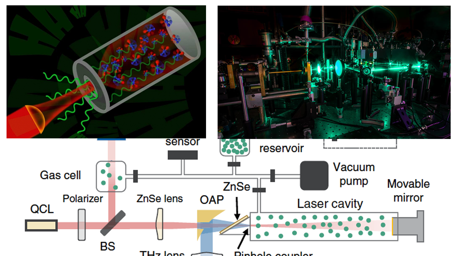 Xray 1536 Promo 5e3db5b9e2115