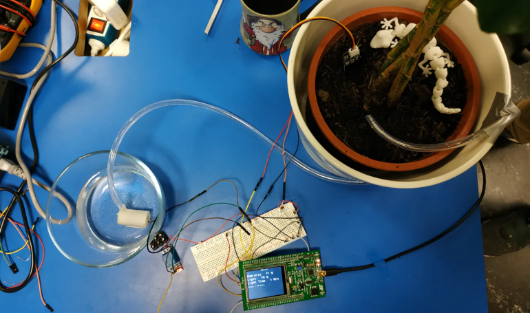 2. The student winner was Team ADArrose with an automated plant sprinkler system.