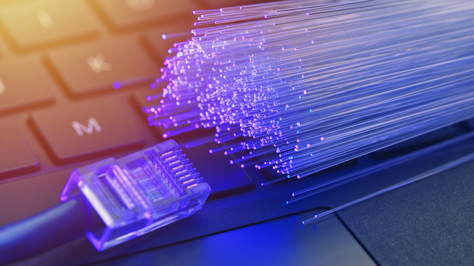 Dmc Wt D Comm 101推广1077605220