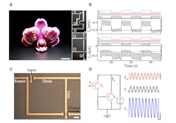 Ed Interest Organic Transistors Fig2 Ed Interest Organic Transistors Fig2