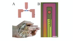 Ed Interest Organic Transistors Fig3 Ed Interest Organic Transistors Fig3
