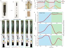 Ed Interest Sparker Fig3 Ed Interest Sparker Fig3