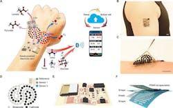 1. The perspiration-powered integrated electronic skin (PPES) uses constituents of sweat for energy harvesting along with a skin sensor while communicating via a Bluetooth link (a). The pad goes on the arm and is about 2 &times; 3 cm (b). The biofuel-cell (BFC) biosensor patch is very flexible for comfort and convenience (the black size-referencing scale is one centimeter long) (c). Schematic illustration of the flexible BFC-biosensor patch (d). The flexible circuit substrate holds a sensor, harvester, ICs, and other components needed for the PPES function (e). All components and the wiring in the completed PPES are encapsulated between protective layers. (Source: Caltech)