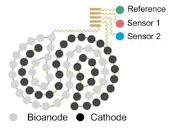 2. The spiral patch contains the co-located biofuel cell array and a biosensor array. (Source: Caltech) 2. The spiral patch contains the co-located biofuel cell array and a biosensor array. (Source: Caltech)