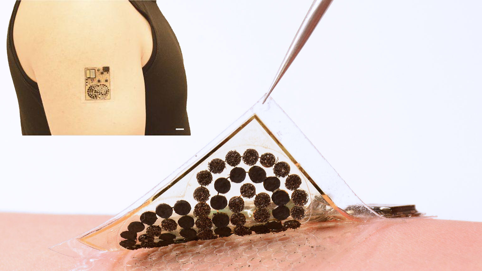 Harvesting Sweat Promo 5ed51c707e8b8