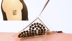 Harvesting Sweat Promo 5ed51c707e8b8 Harvesting Sweat Promo 5ed51c707e8b8