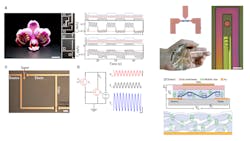 Or Ganic Prom Onew 5eea36aa8cc20 Or Ganic Prom Onew 5eea36aa8cc20
