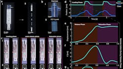 Promoed Interest Sparker Fig3 5eda5bf784077 Promoed Interest Sparker Fig3 5eda5bf784077