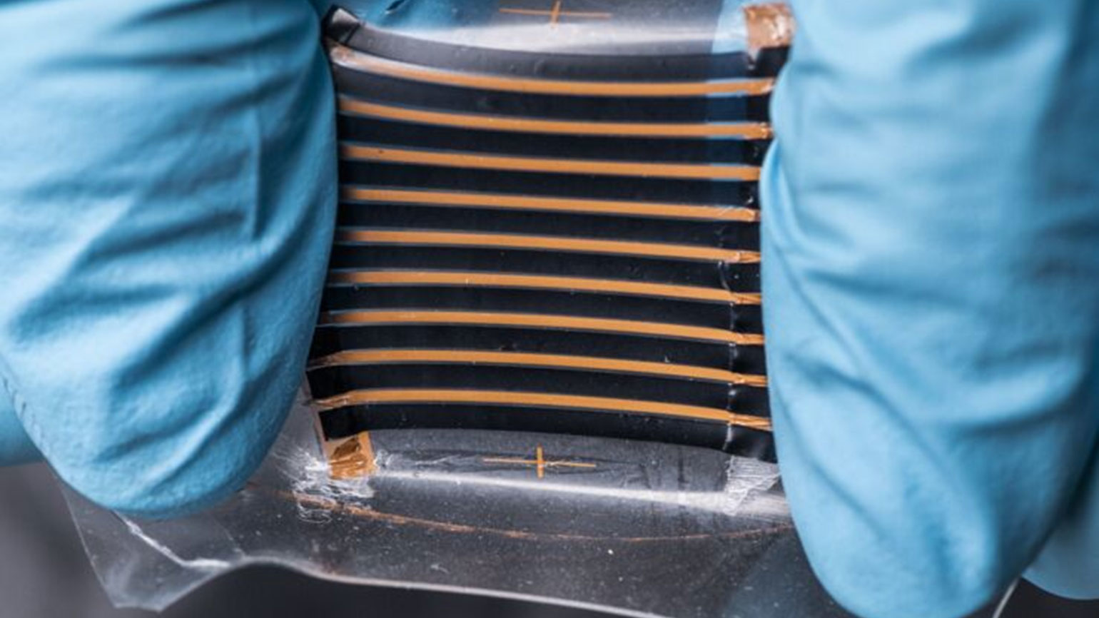 Ed Interest Flexible Teg Eye Candy Promo 5f11d4fc8c8a4