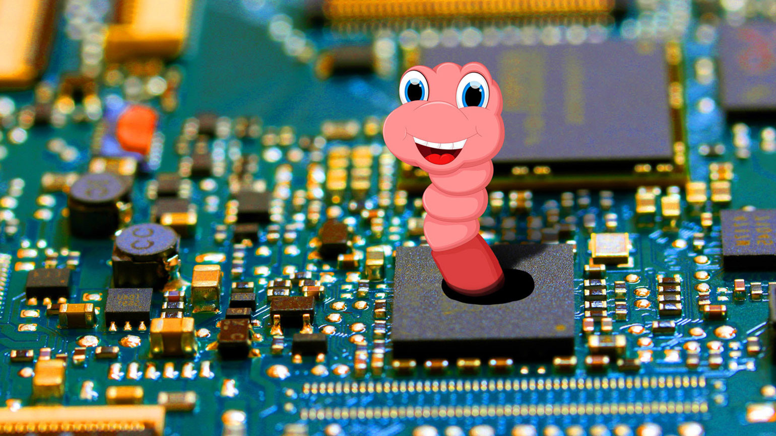 Promo Worm Dreamstime L 123421369 Web 5f2425ffd71b1