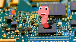 Promo Worm Dreamstime L 123421369 Web 5f2425ffd71b1 Promo Worm Dreamstime L 123421369 Web 5f2425ffd71b1