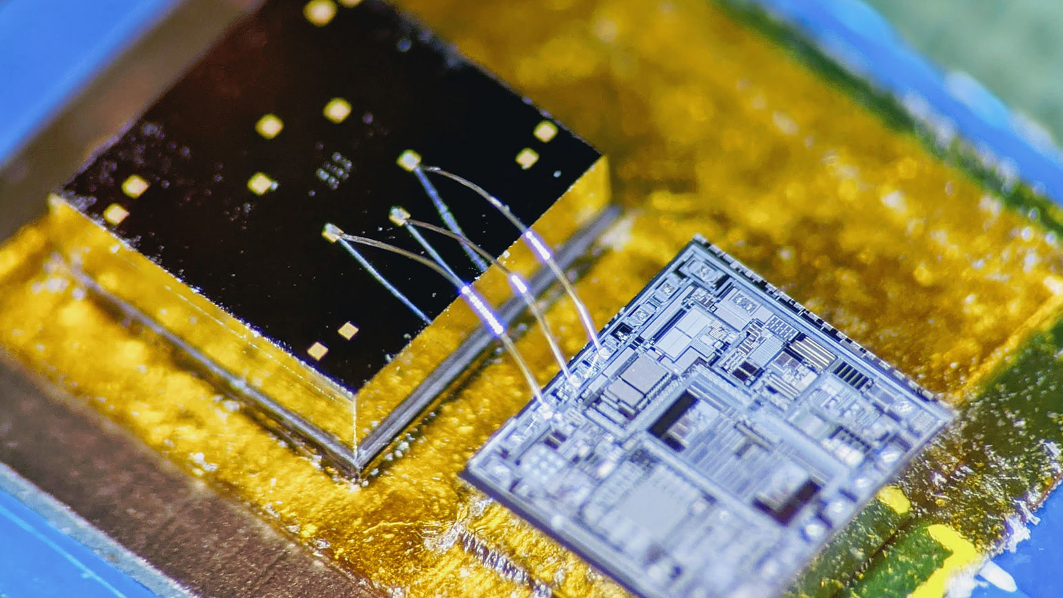 Ed Interest Lung Heart Sensor Chip Promo 5f31a25e9961c