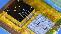 Ed Interest Lung Heart Sensor Chip Promo 5f31a25e9961c Ed Interest Lung Heart Sensor Chip Promo 5f31a25e9961c