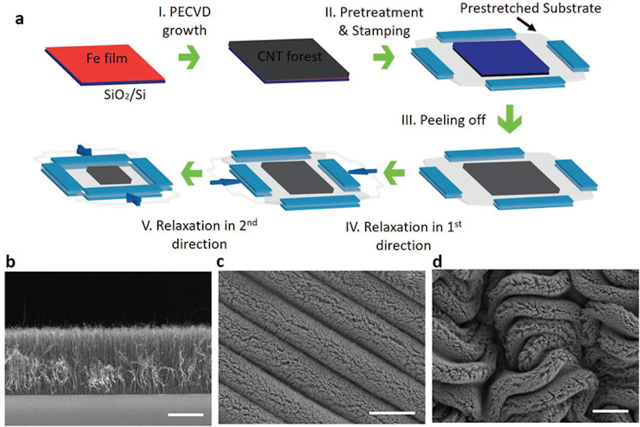 Carbon-Nanotube “Forest” Yields Flexible Supercapacitors | Electronic ...