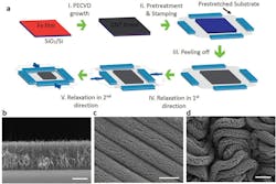 1. Fabrication of crumpled-CNT forest electrodes: (a) Schematic fabrication process flow for stretchable supercapacitor electrodes from PECVD-grown multiwall CNT forest, including growth of CNT forest on silicon wafer covered with 5 nm Fe catalyst (I); pretreatment of the samples under 490&deg;C in air for 3 min, and then stamping the CNTs topside-down onto a uniaxially or biaxially prestretched elastomer substrate (II); peeling off the wafer from the target substrate (III); relaxation of the prestrain in the substrate along the first direction (IV); and relaxation of the prestrain in its second orthogonal direction (V). (b) SEM image of CNT-forest grown on a silicon wafer by PECVD for five minutes. The average height of the CNTs is around 20 &mu;m. (c) SEM image of the parallel ridge pattern formed by the CNT-forest on an elastomer substrate after relaxation in one direction. (d) SEM image of the crumpled pattern formed by the CNT-forest on a fully relaxed elastomer substrate (300% &times; 300%). [The scale bar in (b) is 10 &mu;m and that in (c) and (d) is 100 &mu;m.]