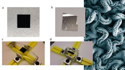 Flexible Prom Onew 5f3e9326dc341 Flexible Prom Onew 5f3e9326dc341