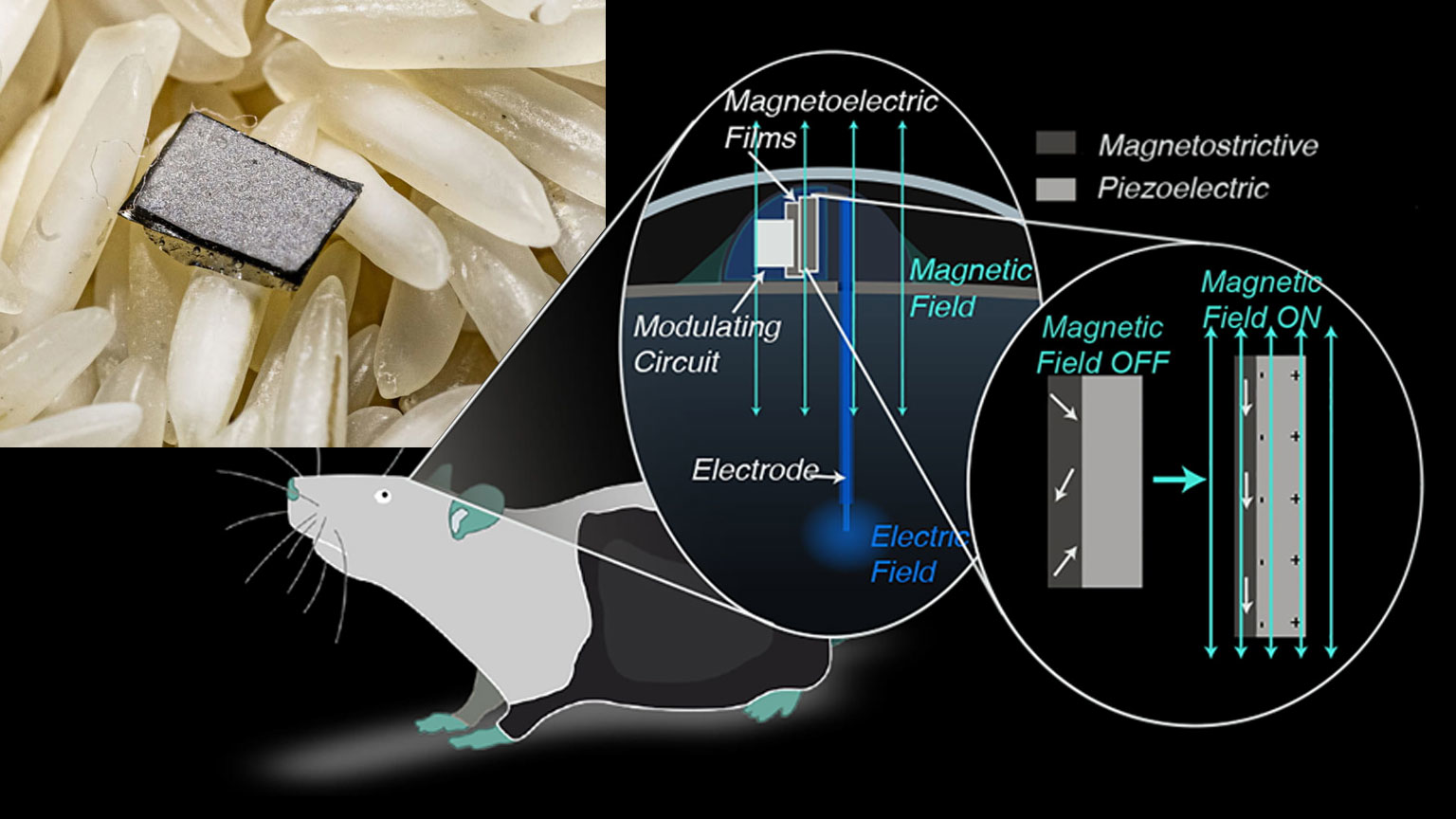 Schwebeer Prom Onew 5f7b747f80a10